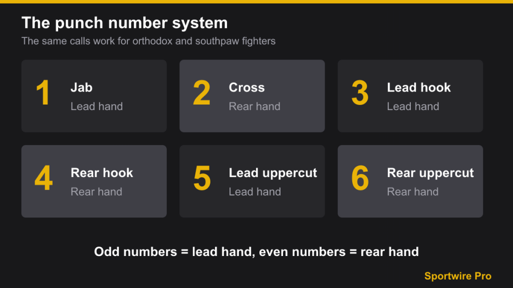 Six numbered cards for jab, cross, lead and rear hooks and uppercuts