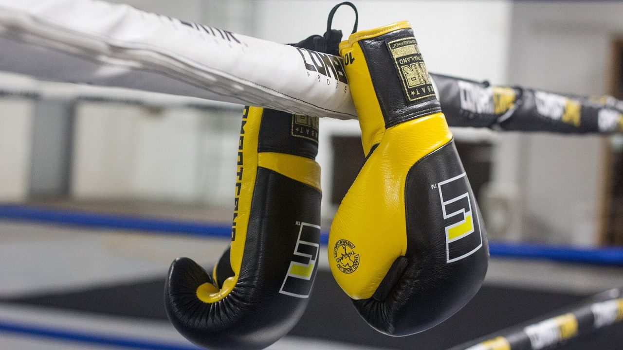 Pair of lace-up boxing gloves