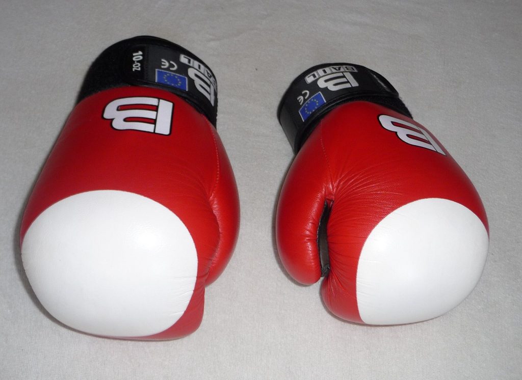 Pair of red 10-ounce boxing gloves
